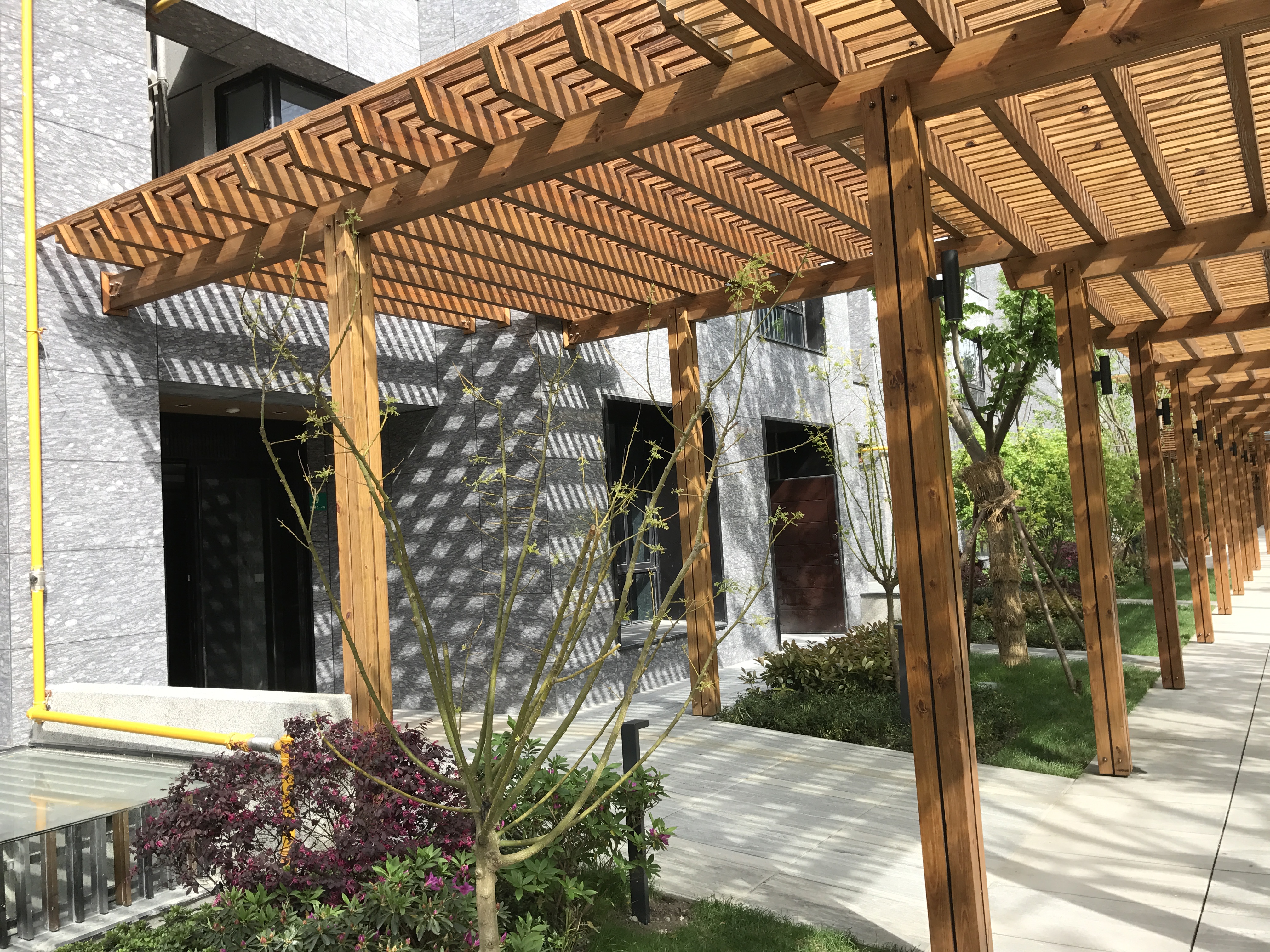 国际木结构协会发布全球木结构建筑发展趋势报告