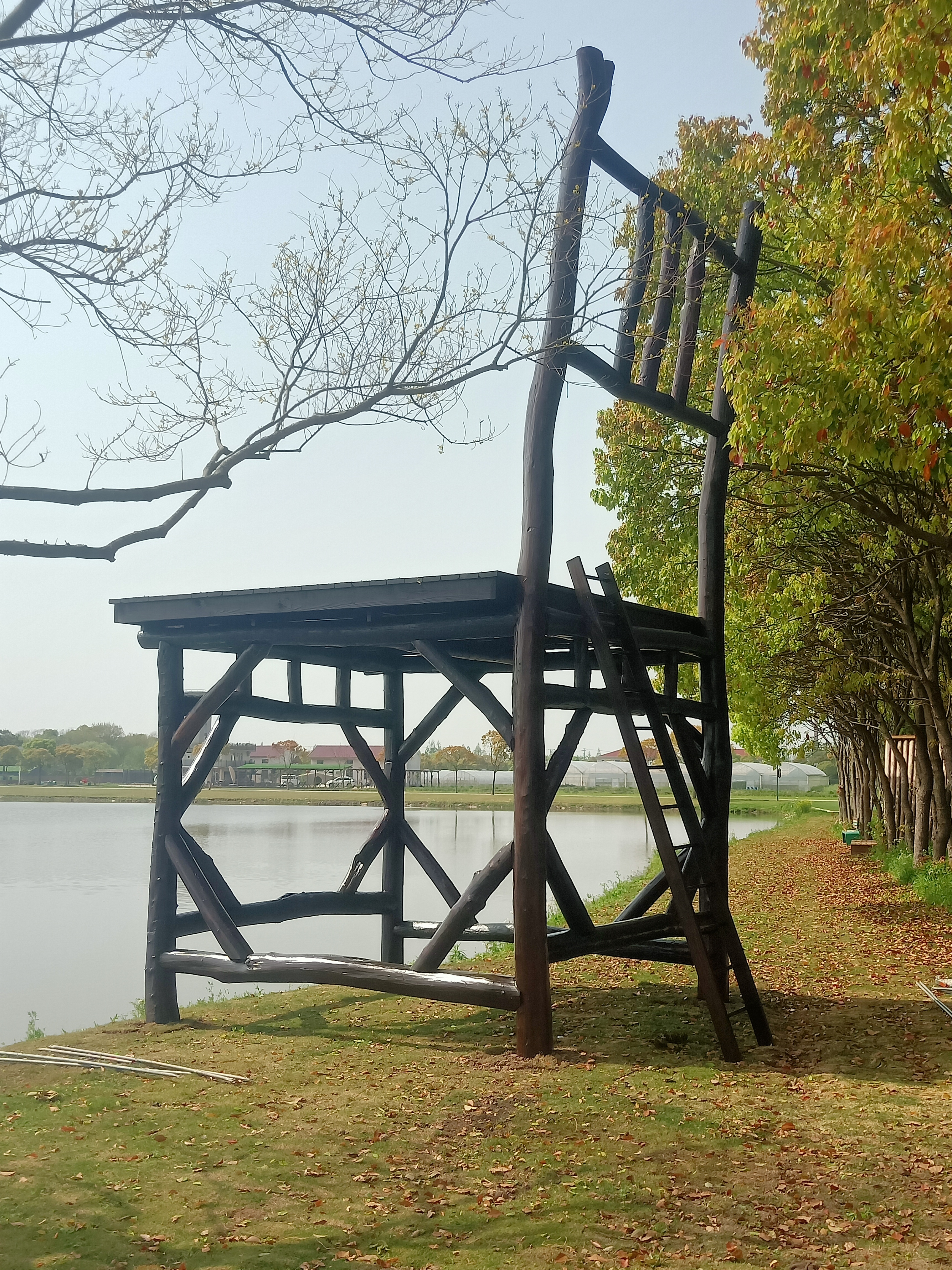 项目图片 1